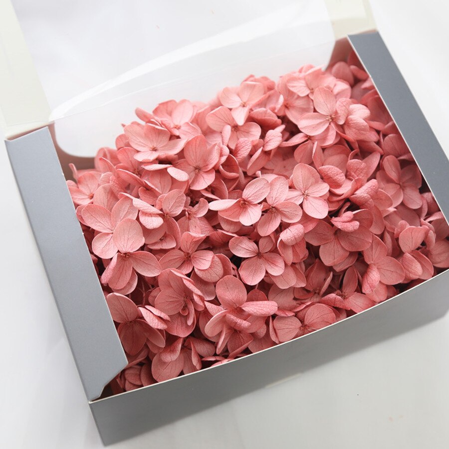 20g naturlige frisk hortensia tørket blomsterhode gjør-det-selv ekte evigblomstmateriale langtidskonservering falmer ikke: 5