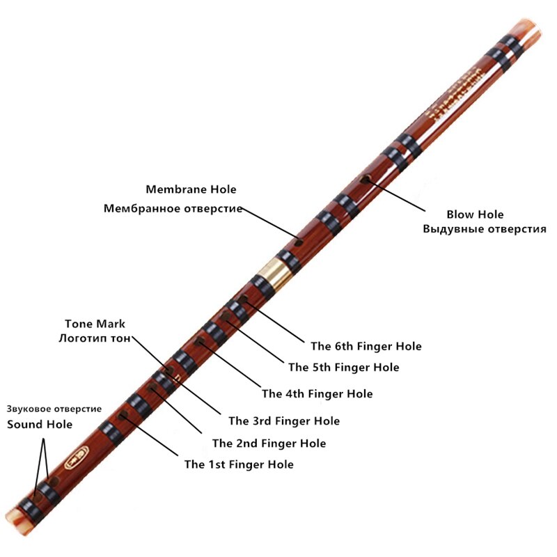 Flauta de bambu instrumentos musicais chinês dizi transversal