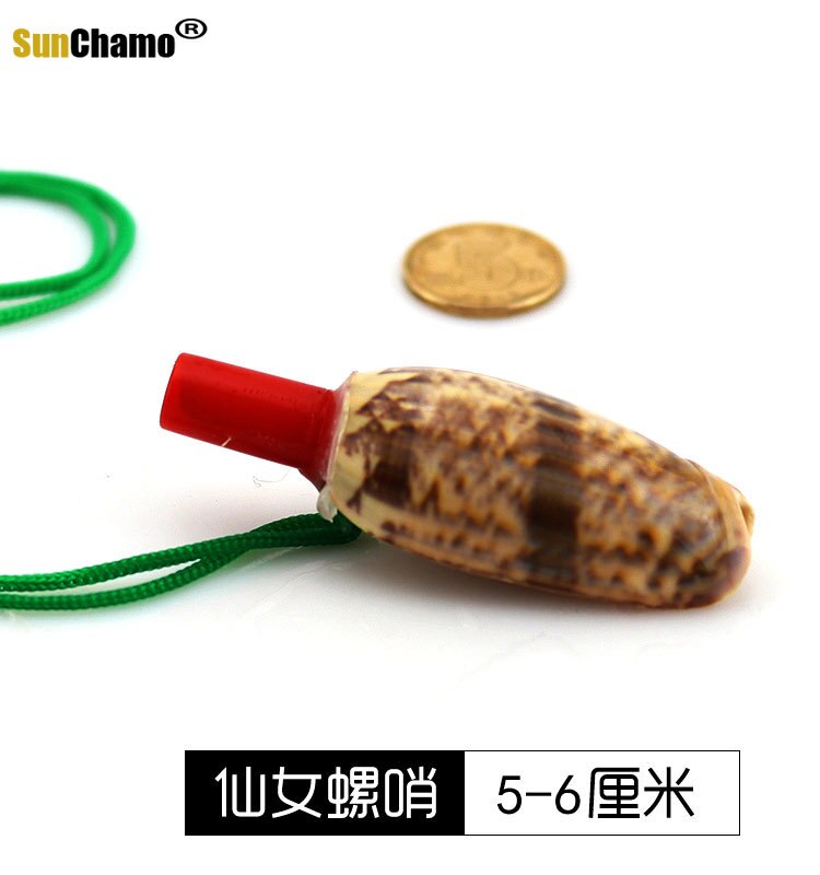 Sunchamo – sifflet de conque naturel, petite coquille de corne caractéristique, jouet artisanal, ornement Micro-paysage, décoration artisanale