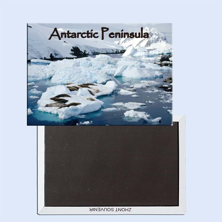 Toeristische Souvenirs, Koelkast Magnetische, Prachtige 24535, Krab-Eater Seals, Peterman Eiland, Antarctische Schiereiland