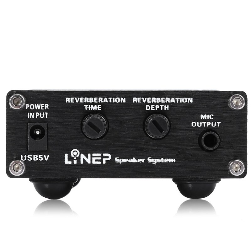 Lynepauaio a Bobina mobile Microfono pre-Amplificatore, Amplificatore doppio-canale Microfono, che È Adatto con Funzione di Interruttore di Riverbero UN