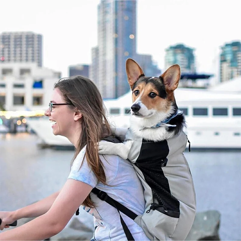 stärker Hunde-Trägerrucksack aus Nylon für kleine und mittelgroße Hunde. Hochwertiger, atmungsaktiver Fahrradrucksack für draussen-Reisen, Heimtierbedarf