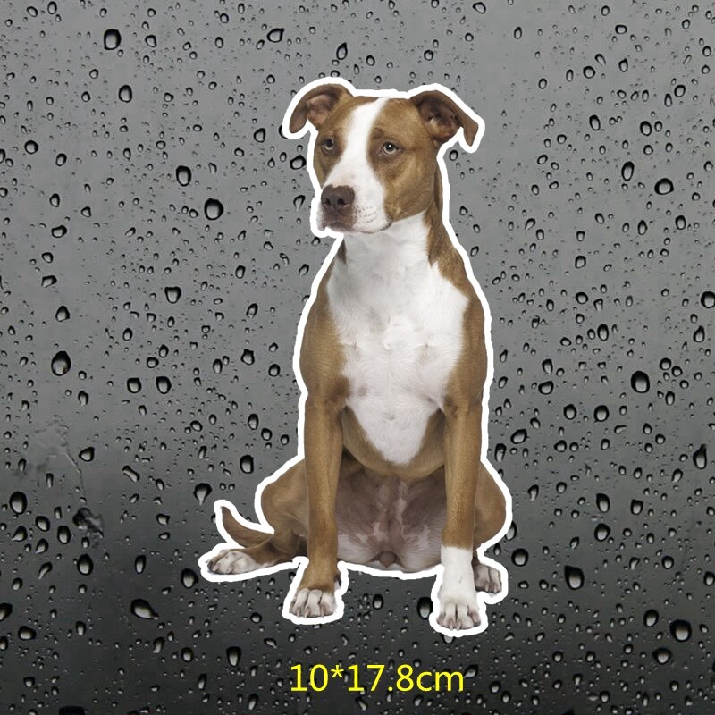 Autocollants Vinyle Pit Bull Sugar Skull - Motif Tête De Mort Coloré - Plusieurs Tailles En VERT