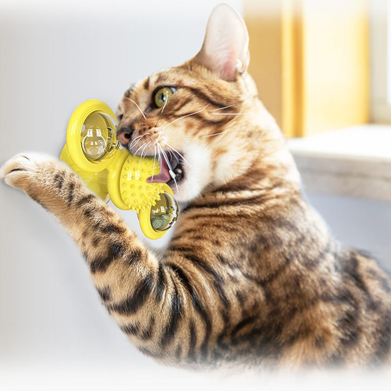 Vindmølle kat legetøj pladespiller drilleri interaktivt kat legetøj puslespil træning kat skrabe kildre kæledyr kugle legetøj