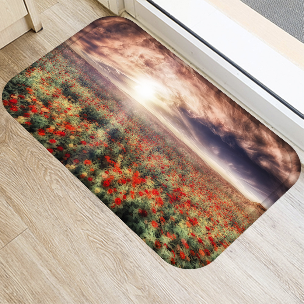 INS flower-paillasson antidérapant | Fleurs, sous vide, tapis de sol de cuisine, sol de bain, tapis d'entrée à la maison, tapis de prière pour enfants 40x60cm DD0026: 13