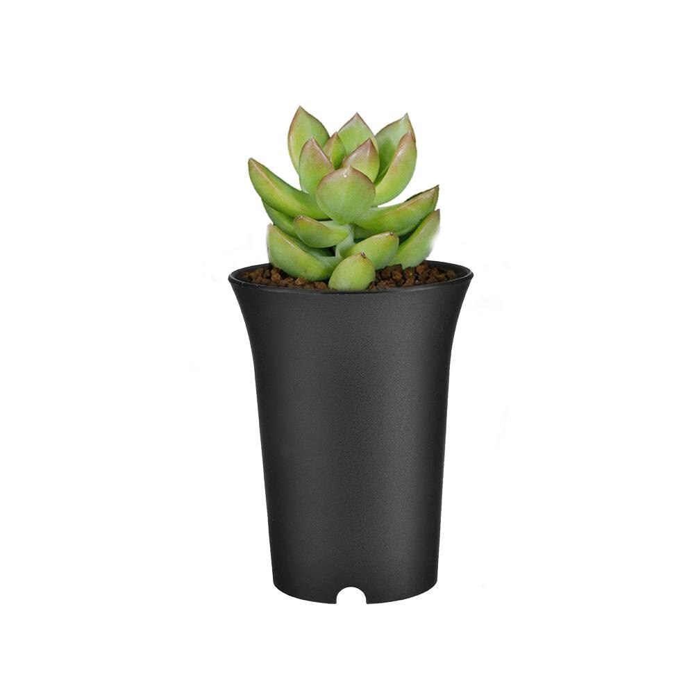5 stk . 9*12cm sukkulentplante blomsterplanteskole potte plast potteholder fortykker rund frø opbevaring potte container hjem haveindretning