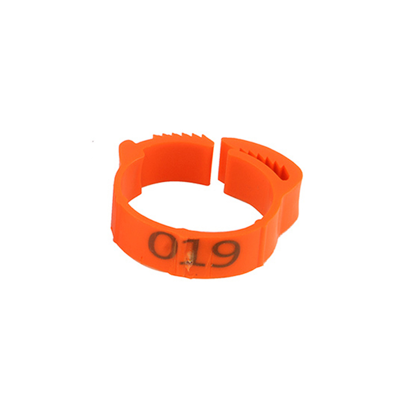 100Pcs/Kleur Verstelbare Kip Voet Ringen Binnendiameter Size 2 ~ 2.4Cm Kip Gevogelte Flexibele Intrekbare Voet ringen 6 Kleuren: Orange