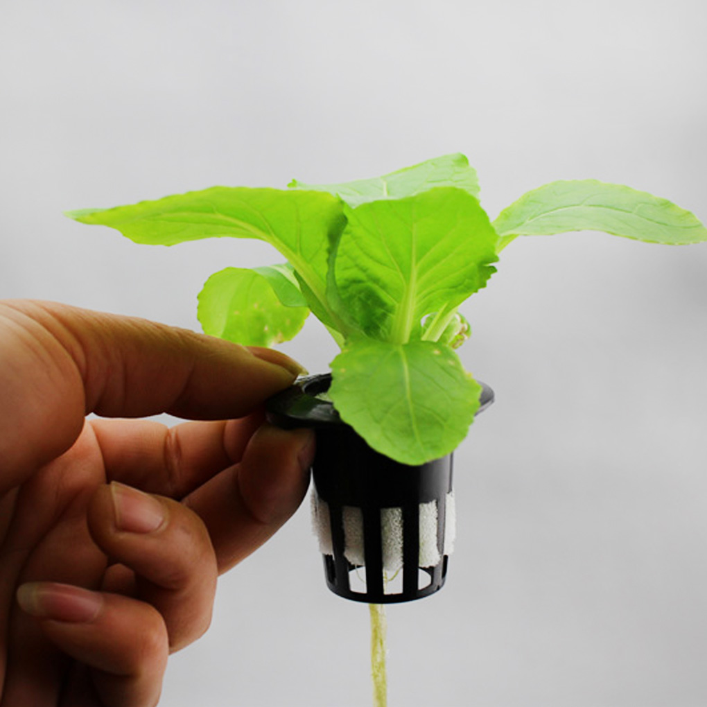 10 pcs high strength hydroponic mesh net pot hydroponic cup basket aeroponic plant grow garden clone