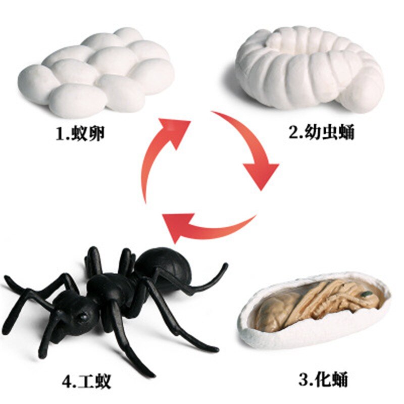 Simulation Insect Animal Model Figures Mini Butterfly Frog Mosquito Ocean Whale Animal Poultry PVC Figures Dolsl Toys