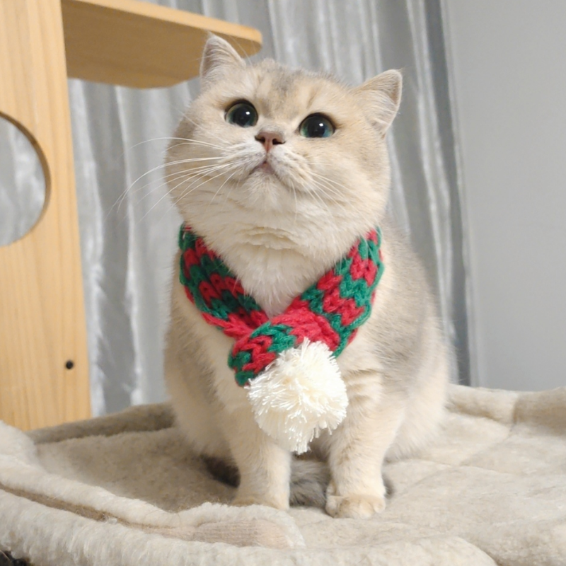 Bufanda de punto con pompón blanco para perros y gatos, bufanda cálida para mascotas, suministros de invierno, accesorios de Navidad y Año
