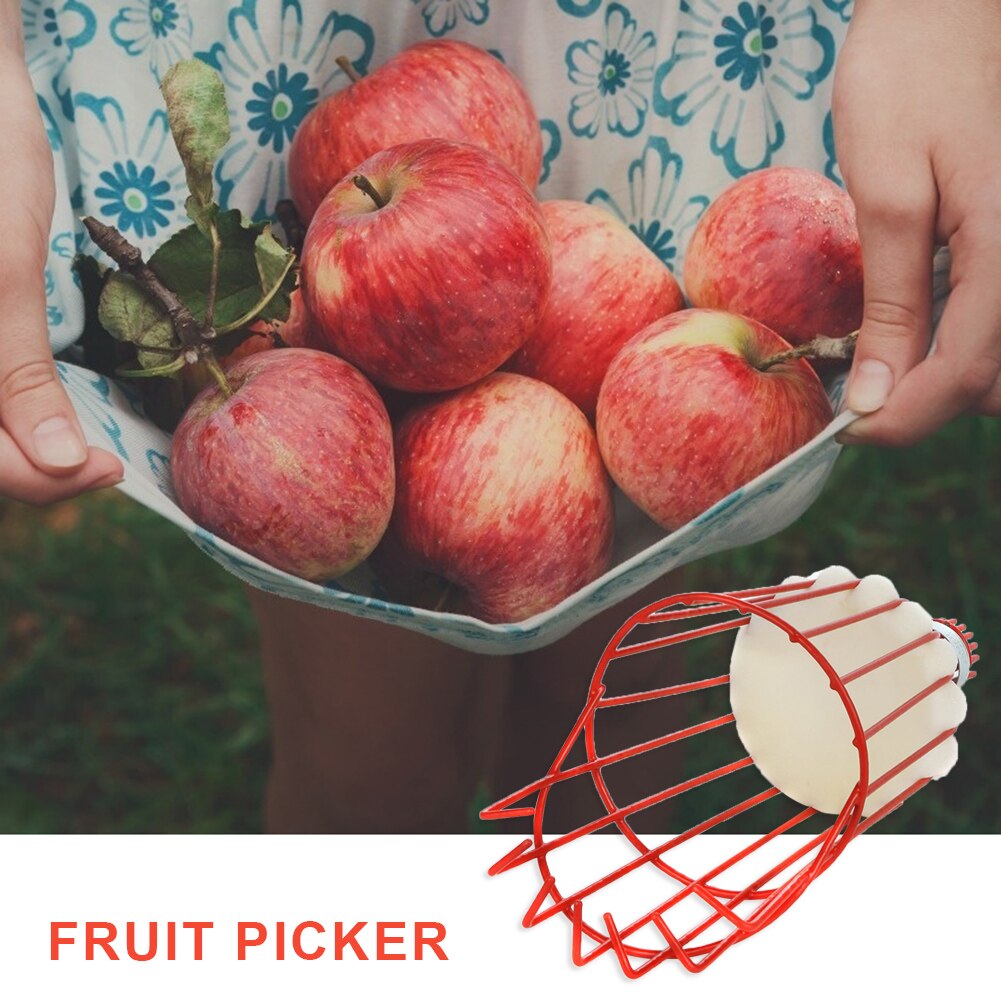 Herramienta de recolección de frutas de Metal para invernadero, recogedor de melocotones y manzanas de color naranja, cesta profunda de aluminio para exteriores, herramientas de jardín