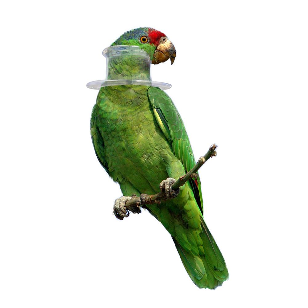 Fugl beskyttende perle papegøje krave anti fjer plukke ring anti-plukning anti-grab kraver elizabethansk krave