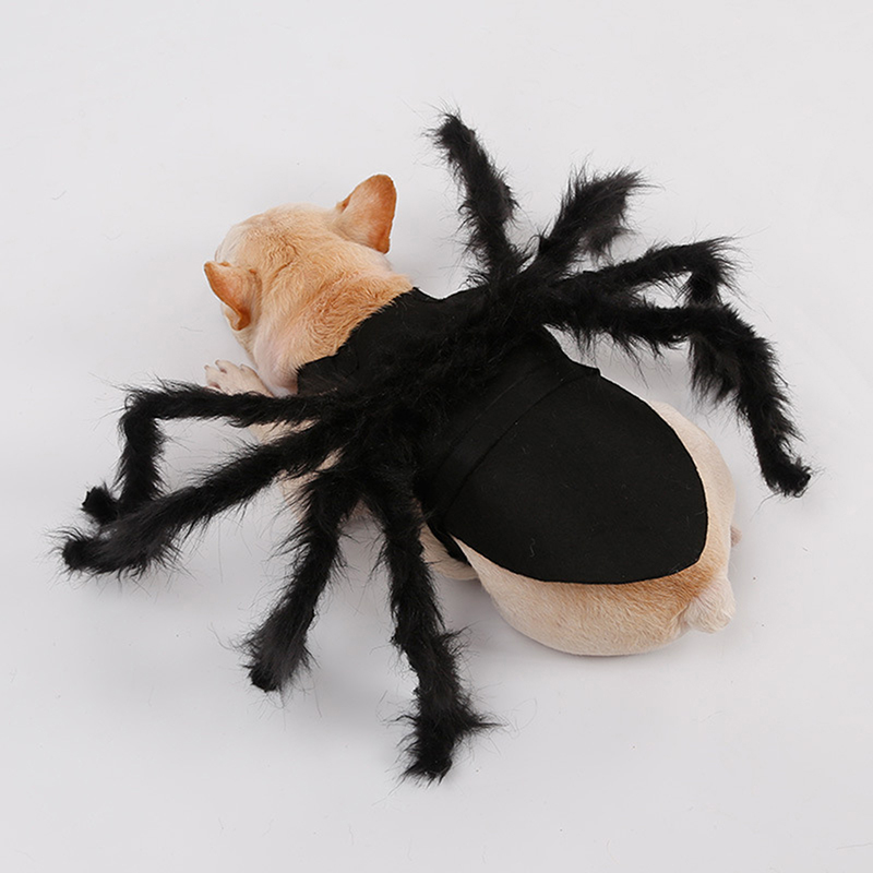 Costume d&#39;araignée pour chien et chat, vêtements pour animaux de compagnie, déguisement d&#39;halloween, fête de noël, accessoires pour animaux de compagnie, 2022