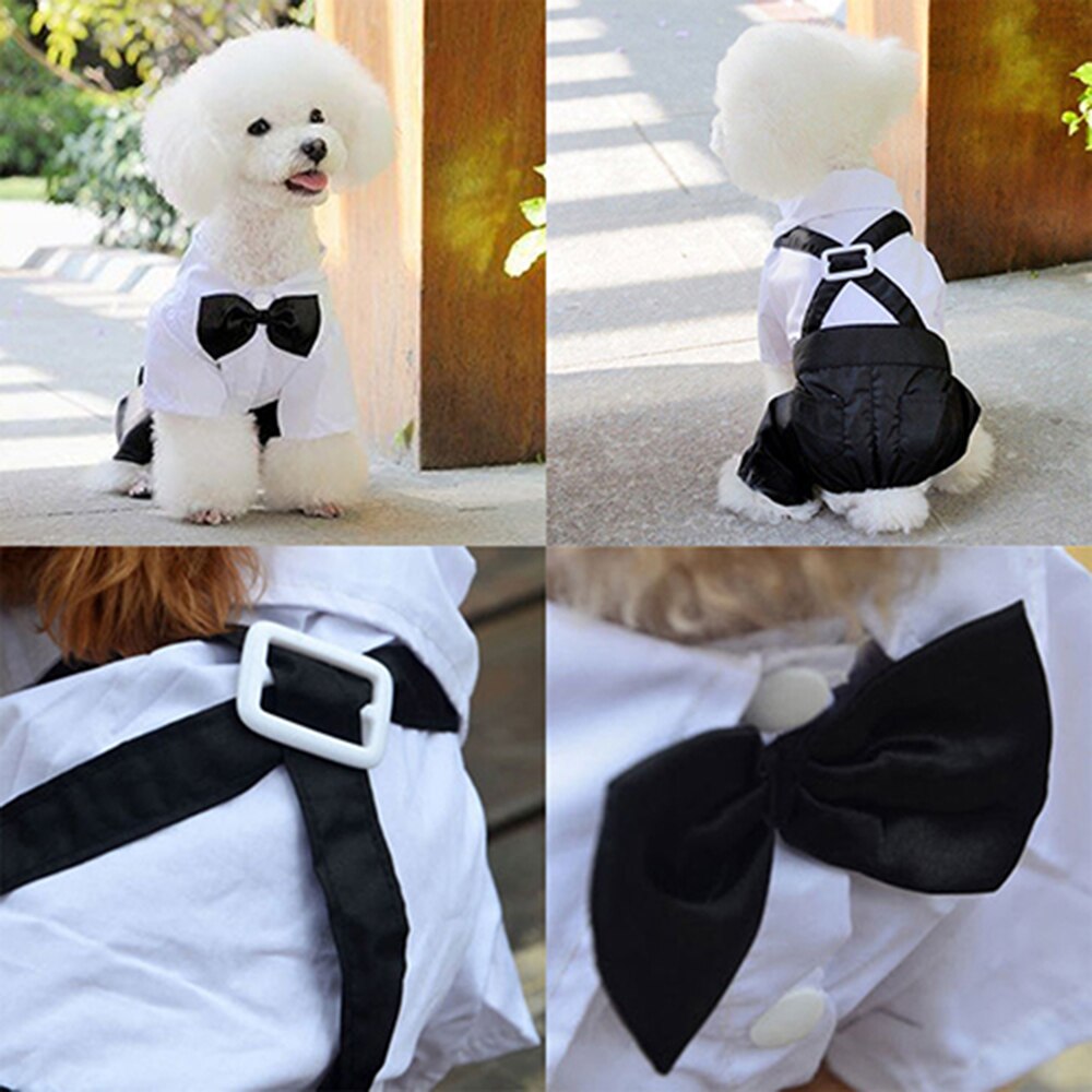 Perro cachorro de peluche caniche Chihuahua abrigo guapo mascotas traje de perro ropa de boda mascota esmoquin del príncipe pajarita Mono para cachorro