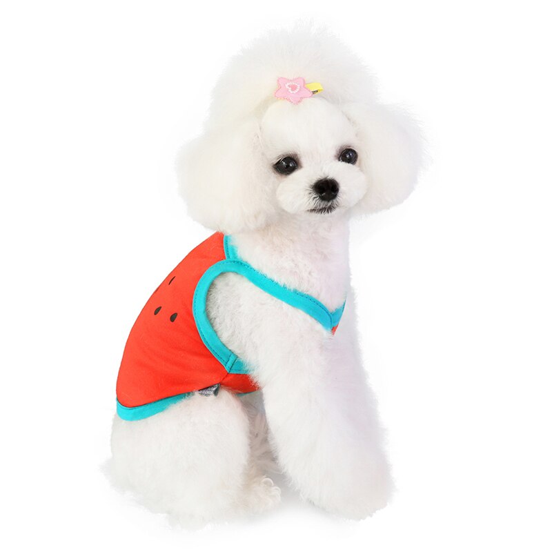 Summer Dog Clothes Puppy Chihuahua Pets Clothing for Small Medium Dogs Vest Fruit Watermelon Dogs Costume Clothing
