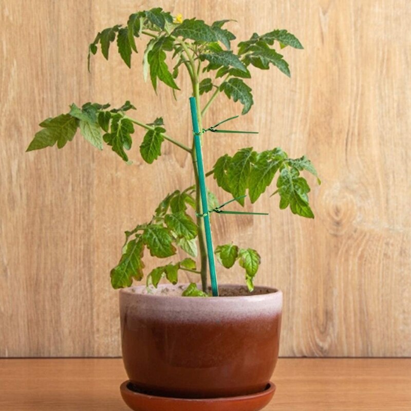 30 Pcs Hout Groene Houten Stokken Plant Stakes Bloemen Planten Ondersteuning Teken Posting Tuin Sticks Diy Plant Bloem Decoratie