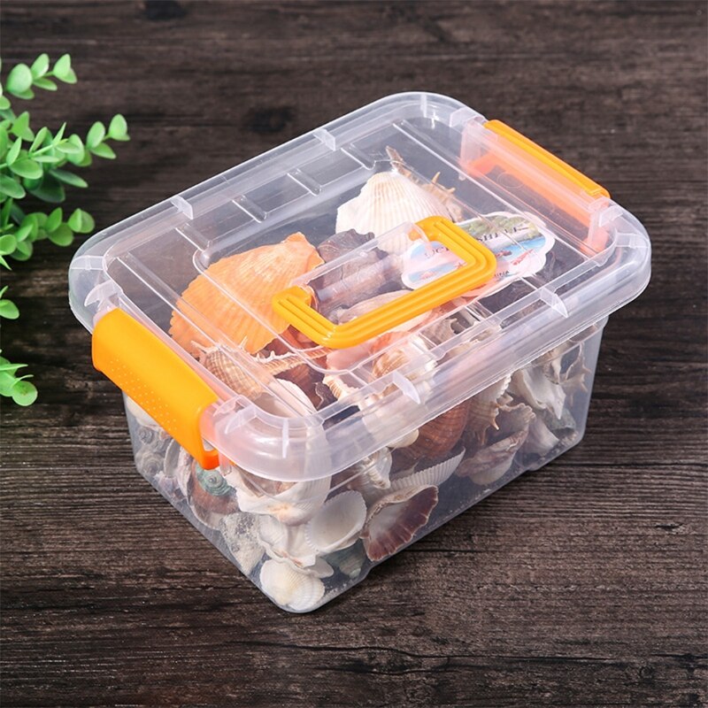 Starfish Seashells Sea Snail Coral in Random Match Fish Tank Ornaments Aquarium Decoration Theme Party Decor DIY Crafts