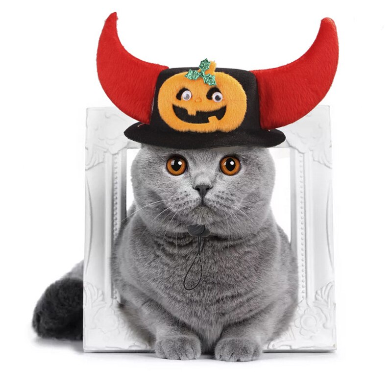 Funny Pet Hoofddeksels Hond Cap Kat Hoofddeksels Kerst Huisdier Kostuum Halloween Hoofdtooi Voor Kleine Honden Katten Kitten Poedel Accessoires