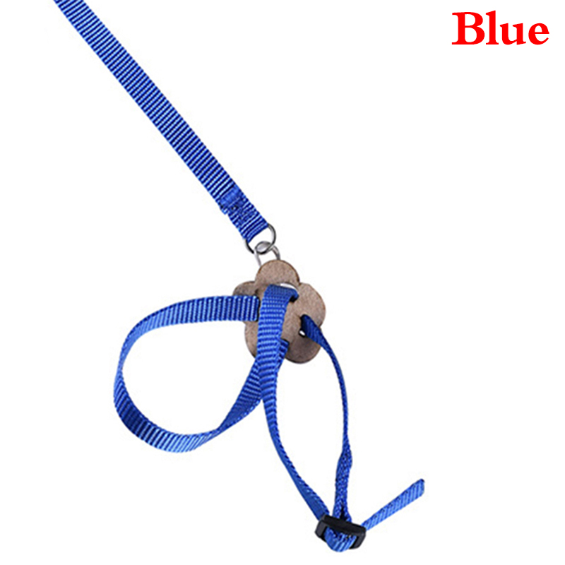 Harness And Leash For Birds Parrot Cockatiel Parakeet Conure Macaw Training Rope 5 Colors: Blue