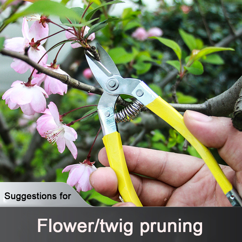 Multifunctional Garden Tools Orchard Garden Hand Tools Scissors Stainless Steel Labor-Saving Pruning Scissors: short mouth