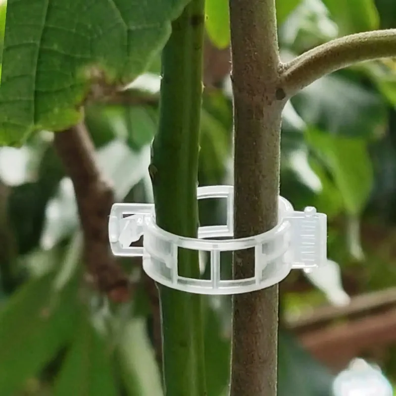 Clips de Support en plastique pour plantes, légumes, tomates, raisin, vigne, cerclage, boucle, Clip réutilisable, fournitures de jardin,