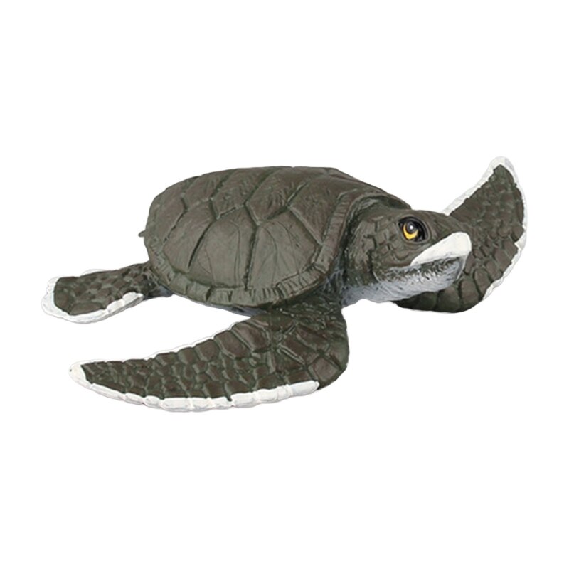 Sea Fish Miniature Statue Figurine that Looks Real Science Toy Students Reward: 06  turtle