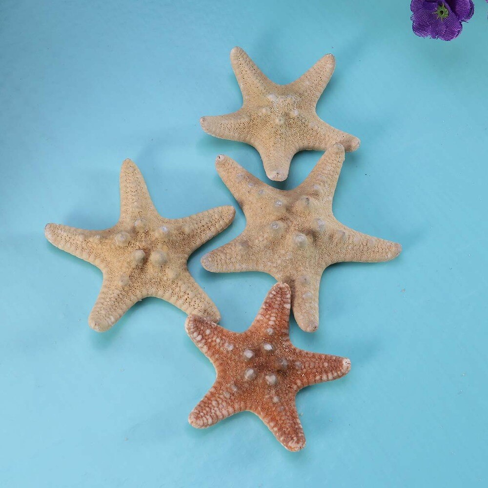 4 stuks zeester knutsels decoratie diy strandhuisje decoratie schelpen voor bruiloft fotografie feest huisdecoratie (4-6cm)