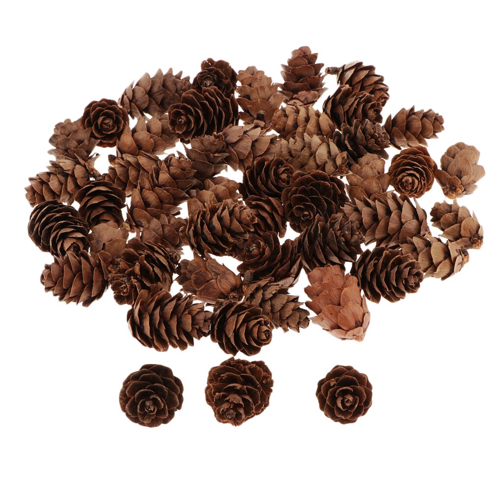 60 Pieces Natural Pine Cones for Christmas Fall Thanksgiving Harvest Autumn Party Craft Accessory Decorations
