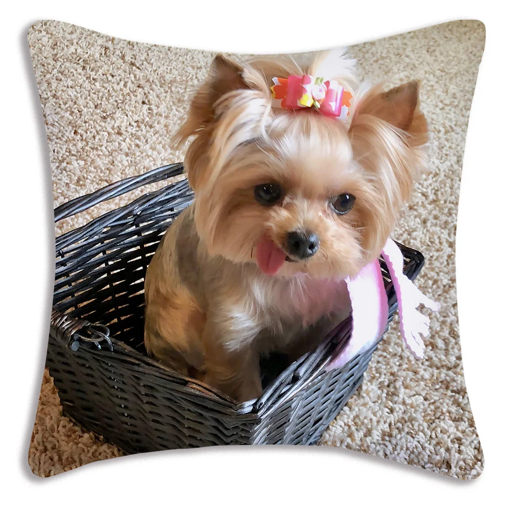 Fodere per cuscini per cani carini Divano dei cartoni animati Federa decorativa per la casa Stampa Fodera per cuscino carina: 450*450mm / giallo