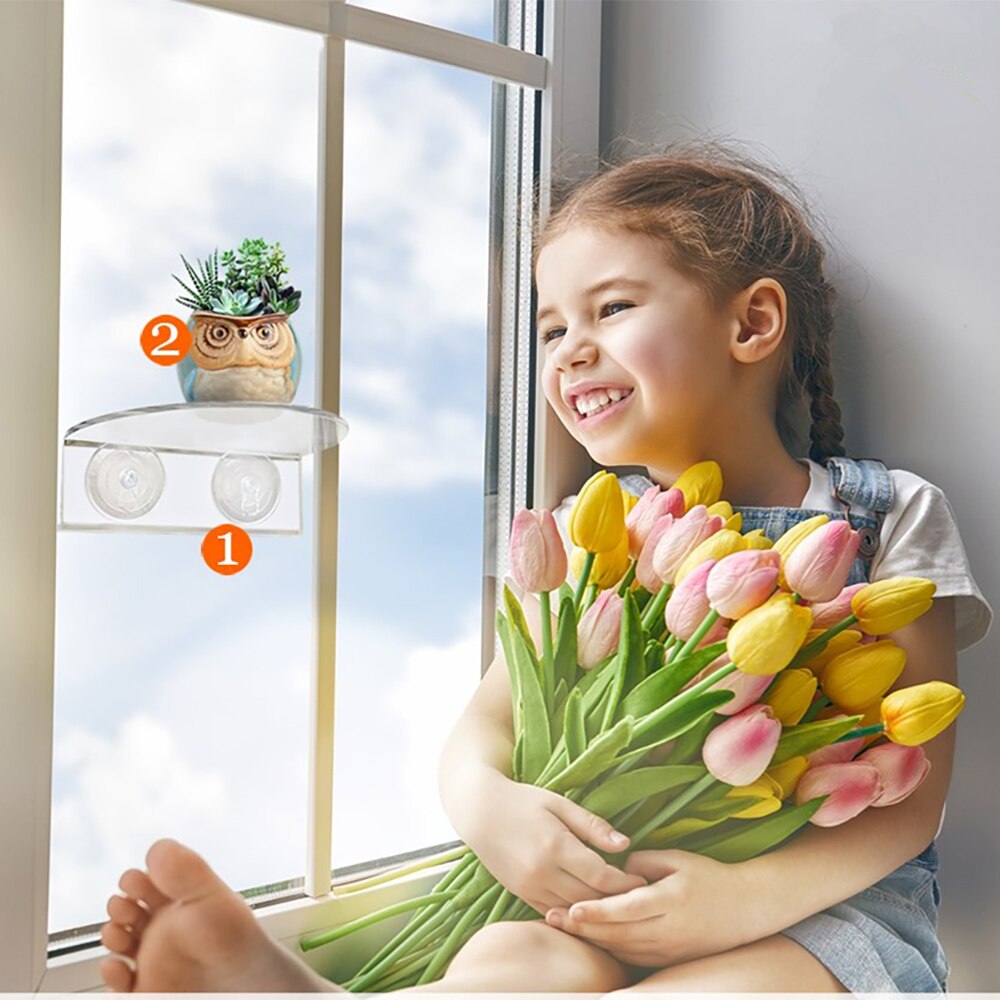 1pc Angesaugt Typ Fenster Anzeige Gestell drinnen ... – Grandado