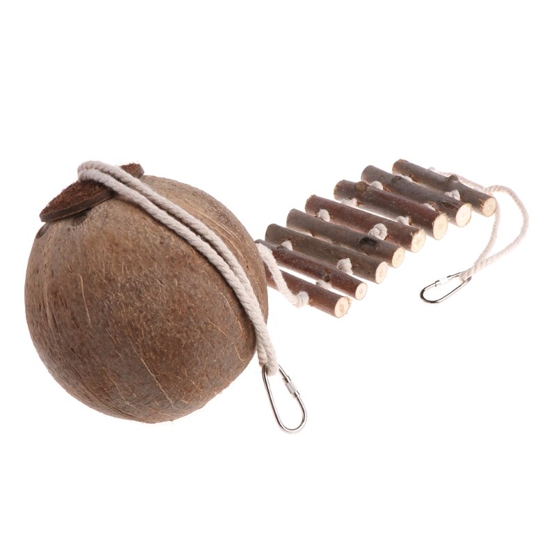 Niche pour perroquet oiseau, jouet, Cage, Coco naturel, cachette avec échelle