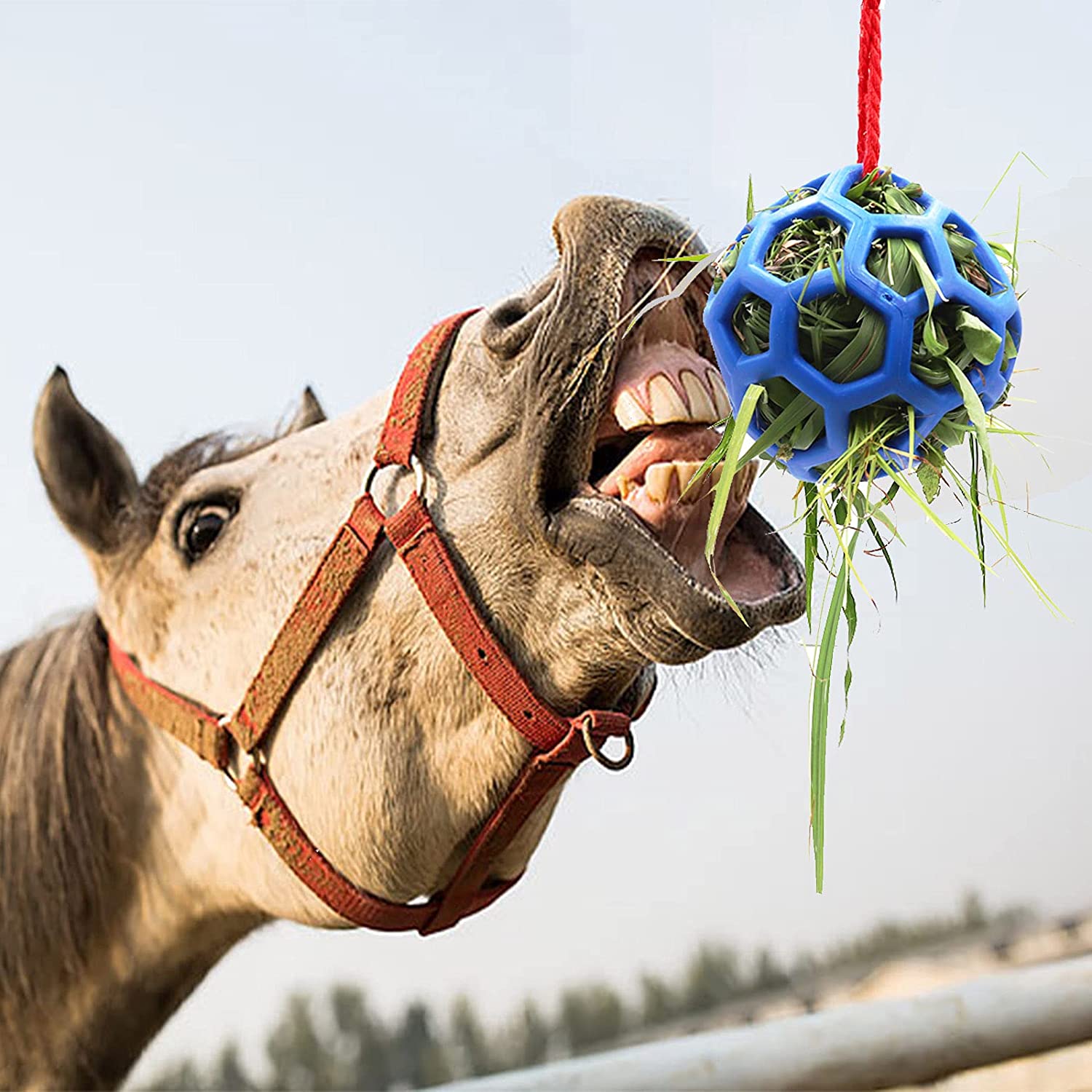 1PCS Horse Treat Ball Feeder Toy Hay Ball Hanging Feeding Toy for Horse Stable Stall Paddock Rest: Blue