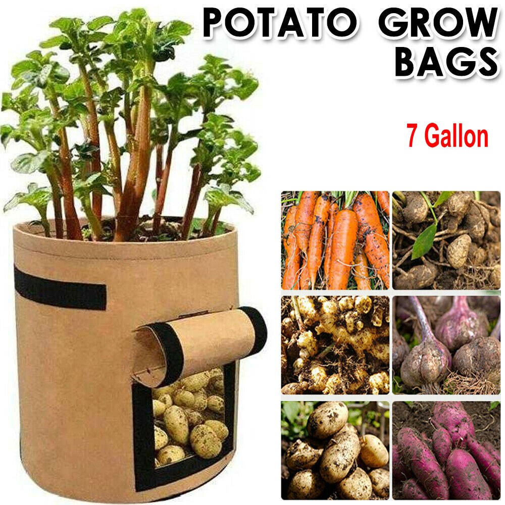 Plantepose kartoffel vokse containerpose diy planter pe klud plantning grøntsag havearbejde tykkere vegetabilsk pot plantning vokse pose