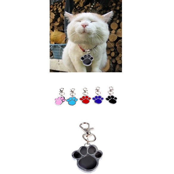 Hond Poot Stijl Hond Naam Hond Ketting Tag Huisdieren Voor Huisdieren Mode Sleutelhanger