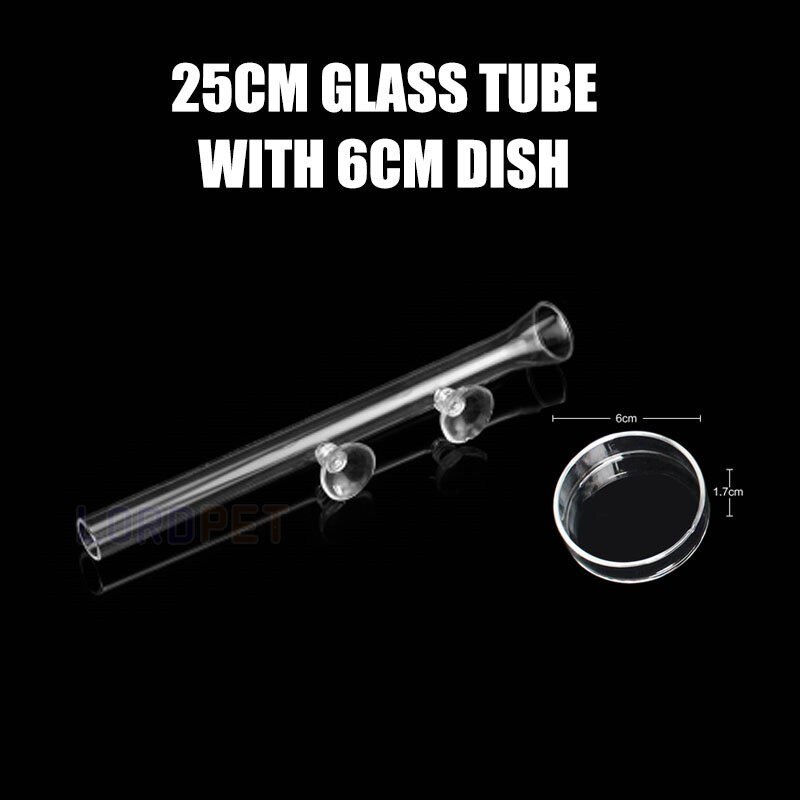 Aquarium Glas Feeder Transparante Buis Kom Garnalen Feeding Met 6 Cm Ronde Schotel Veilig 6 Size: 25cm