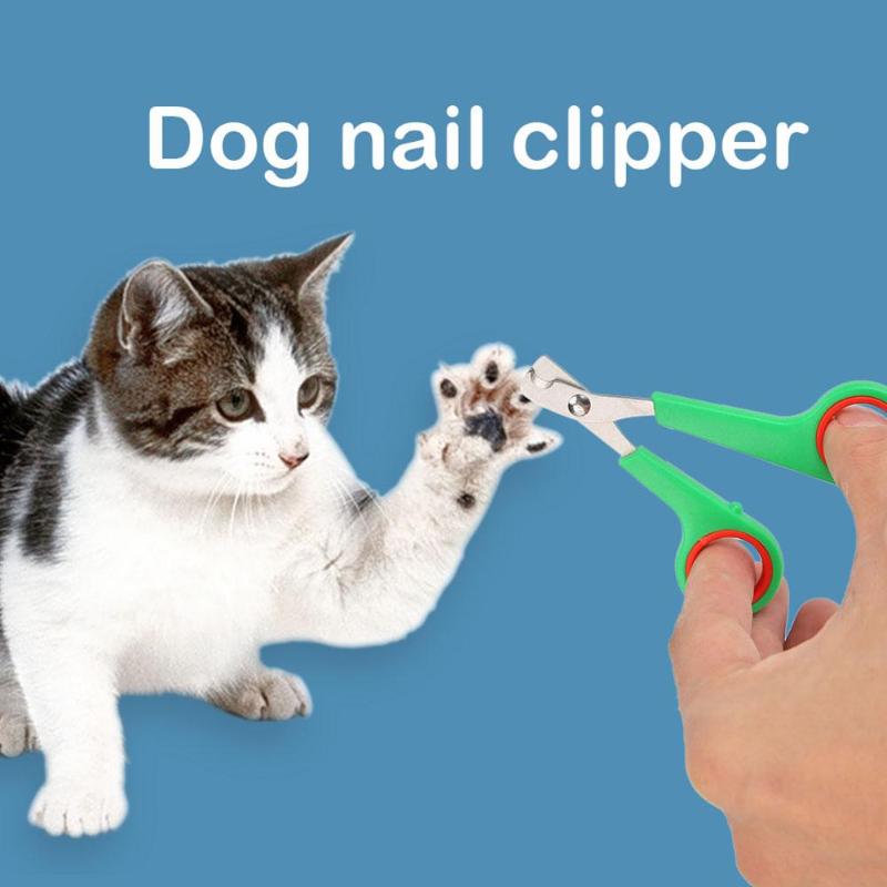 Kæledyr hund katte fugletå klo saks clippers rustfrit stål pleje negleklipper saks hund negl trimmer skåret søm