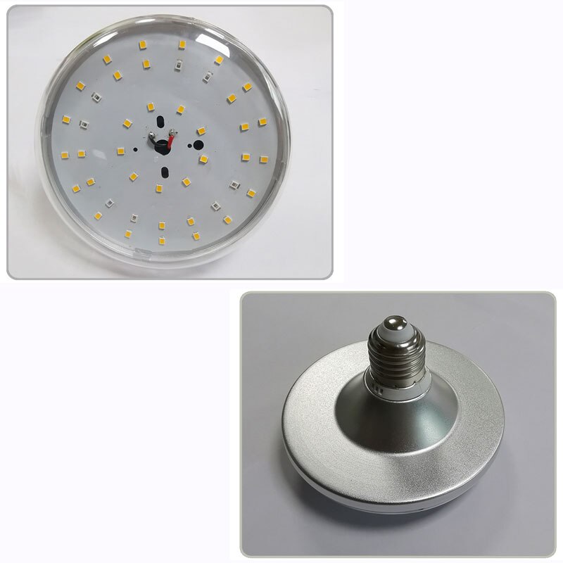 Dragon fruit fill light plant light plant growth light plant fill light