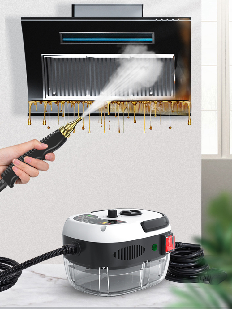 2500w höyrypesuri korkean lämpötilan sterilointi ilmastointi liesituuletin autonpuhdistin kodinkoneet 110v/220v