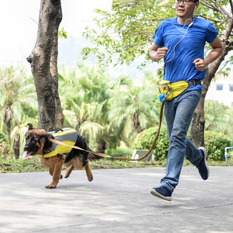 Kæledyrshund træningstaske 46*14cm nylon gåhund udendørs kæledyr snacks pose 1 stk
