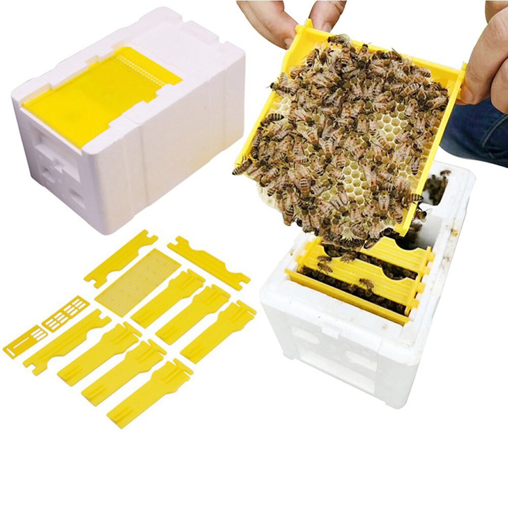 Abeja colmena reina caja apícola la polinización de la caja de la espuma de la apicultura Kit de herramienta de la apicultura caja de espuma Caja de Herramientas