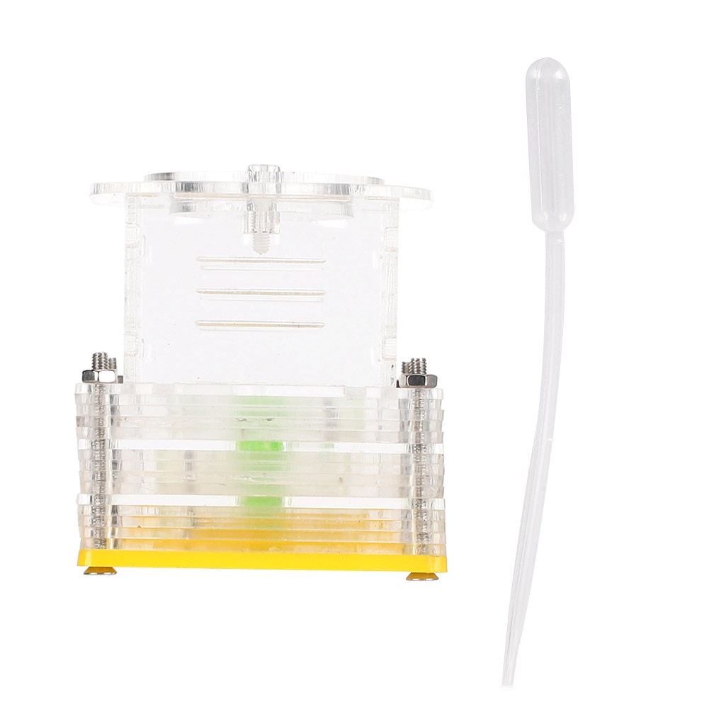 Reptiles Living Box Insects Box Acrylic Ant Feeding Nest Transparent Insect House Case Ant Farm Ant Formicarium ant