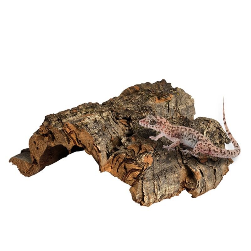 Reptile Climbing Cork Bark Natural Wood Habitat Lizard Spider Pet Hiding Place