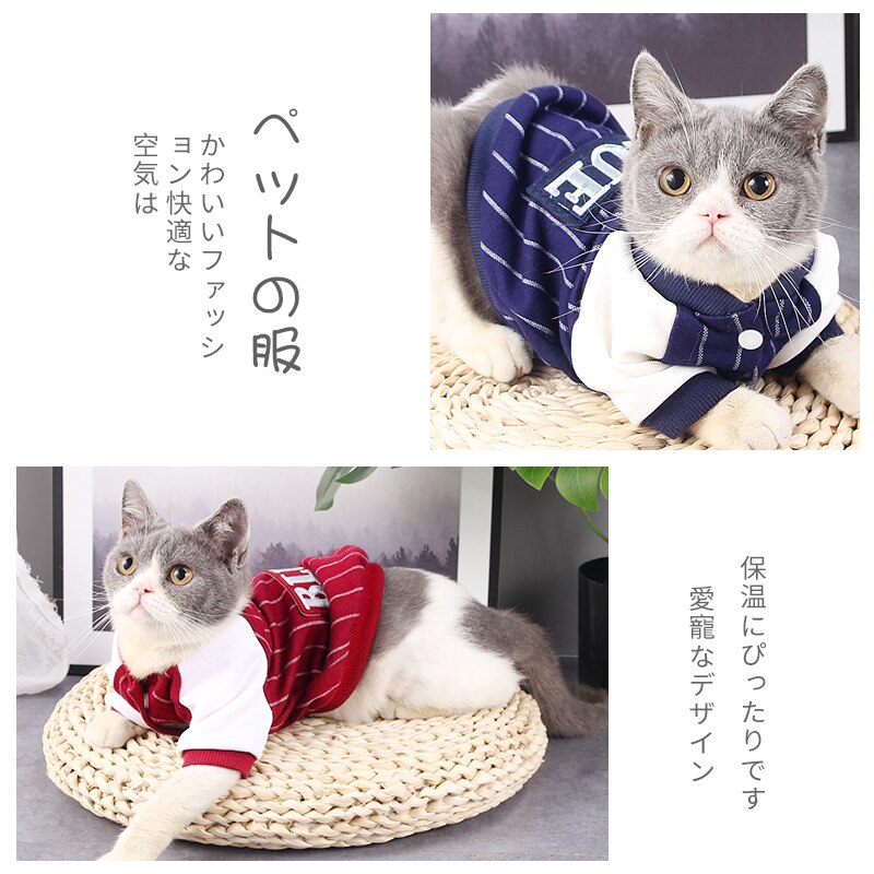 Cat clothes cat jacket