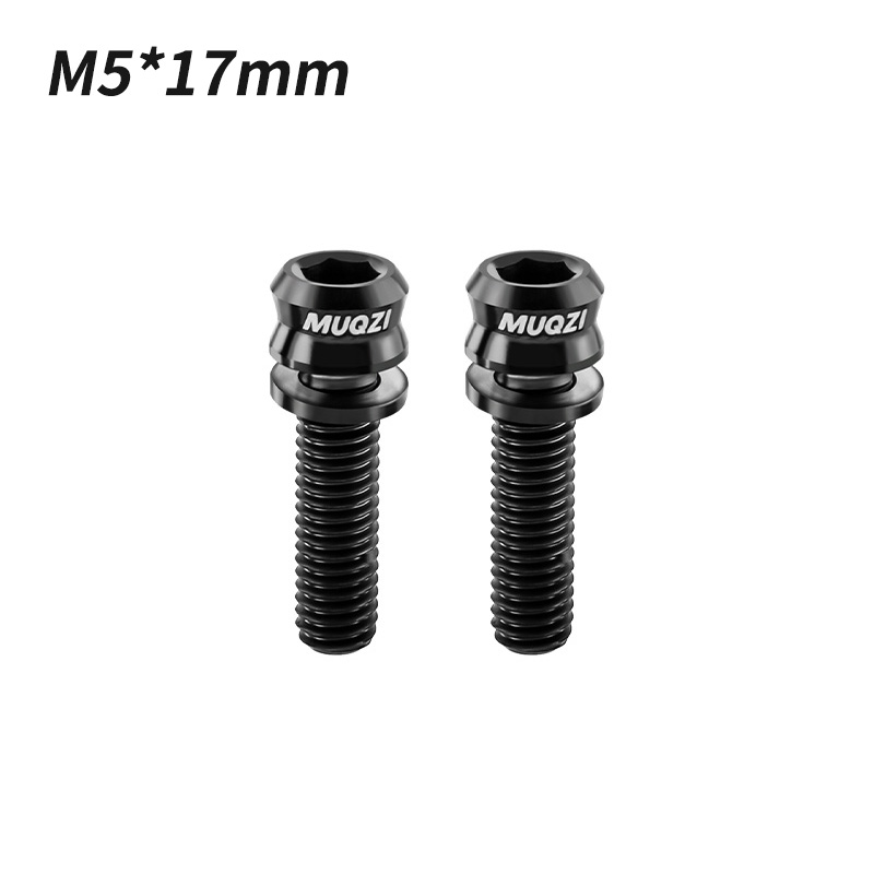 MUQZI 2 Stück Titanschraube M5 x 17 mm M5 x 19 mm Fahrradmutter Titanlegierung Vorbauschrauben MTB Rennrad Faltrad Schraubenzubehör: Elfenbein