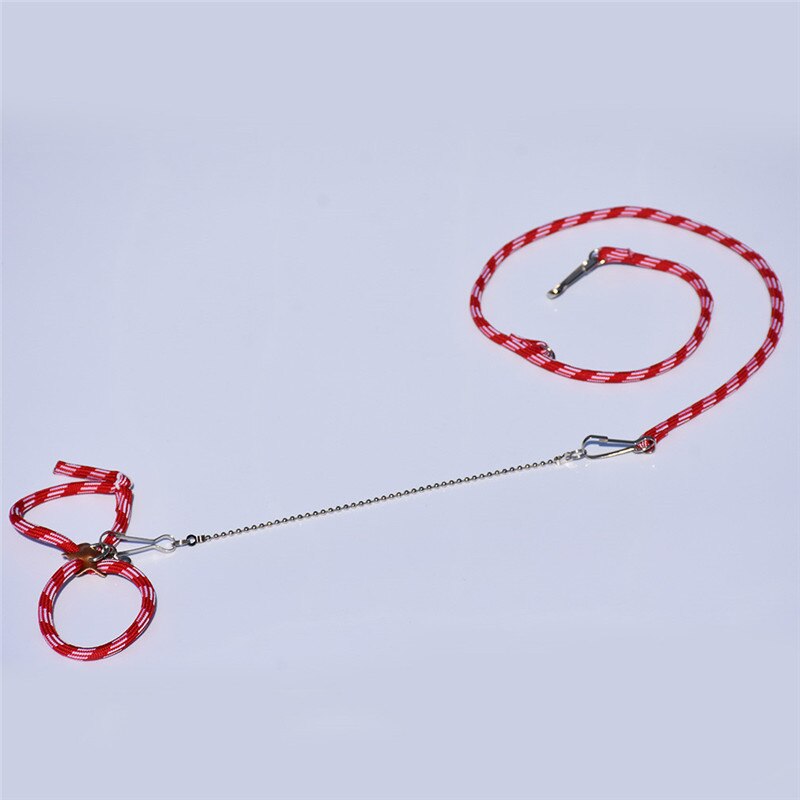 Cute Adjustable Pet Rat Mouse Hamster Harness Rope Pet Hamster Leashes Lead Collar For Rat Mouse Pet Outdoor Supplies Home: red white