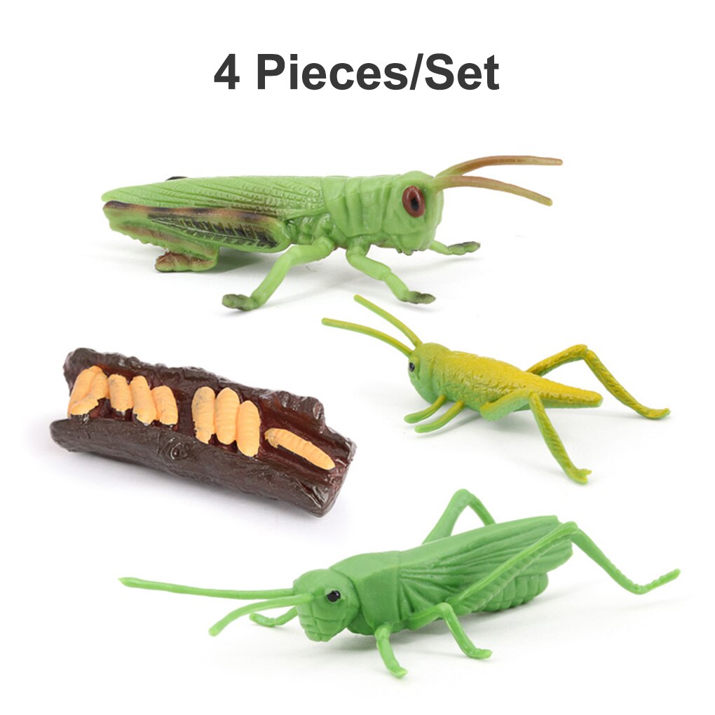 1 set heuschrecken-lebenszyklus-set, frühkindliches lernmaterial aus kunststoff, realistische miniaturtiere, spielzeug