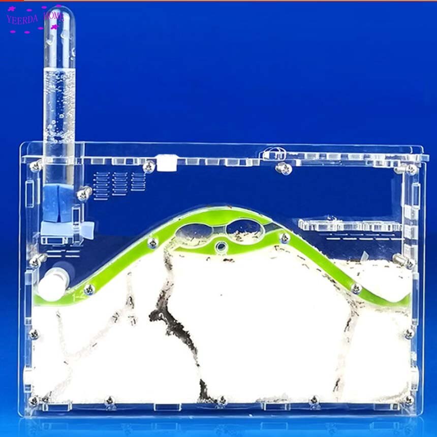 19.6*13.3*2.9cm DIY moisture with feeding area ant nest ,ant farm acryl, insect ant nests villa pet mania for house ants
