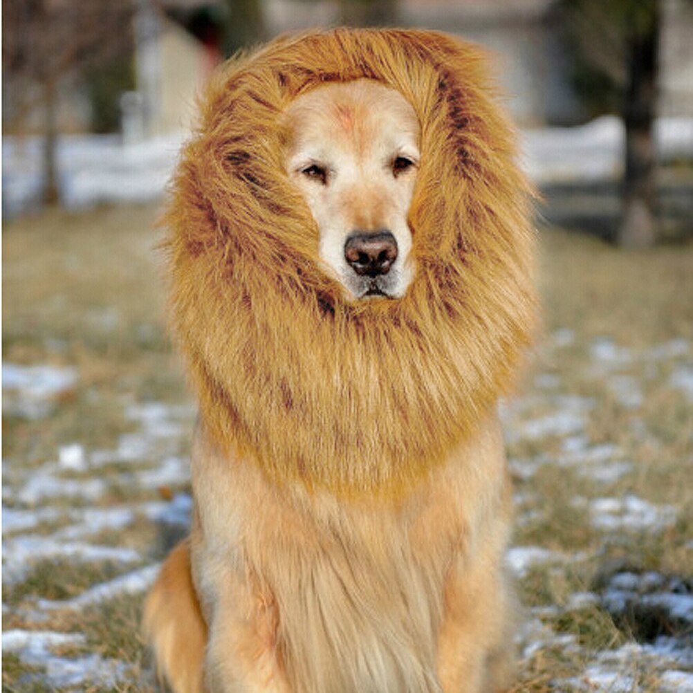 Perruque en crinière de Lion pour chien, déguisement, collier de cou, pour fête, Festivals, marron