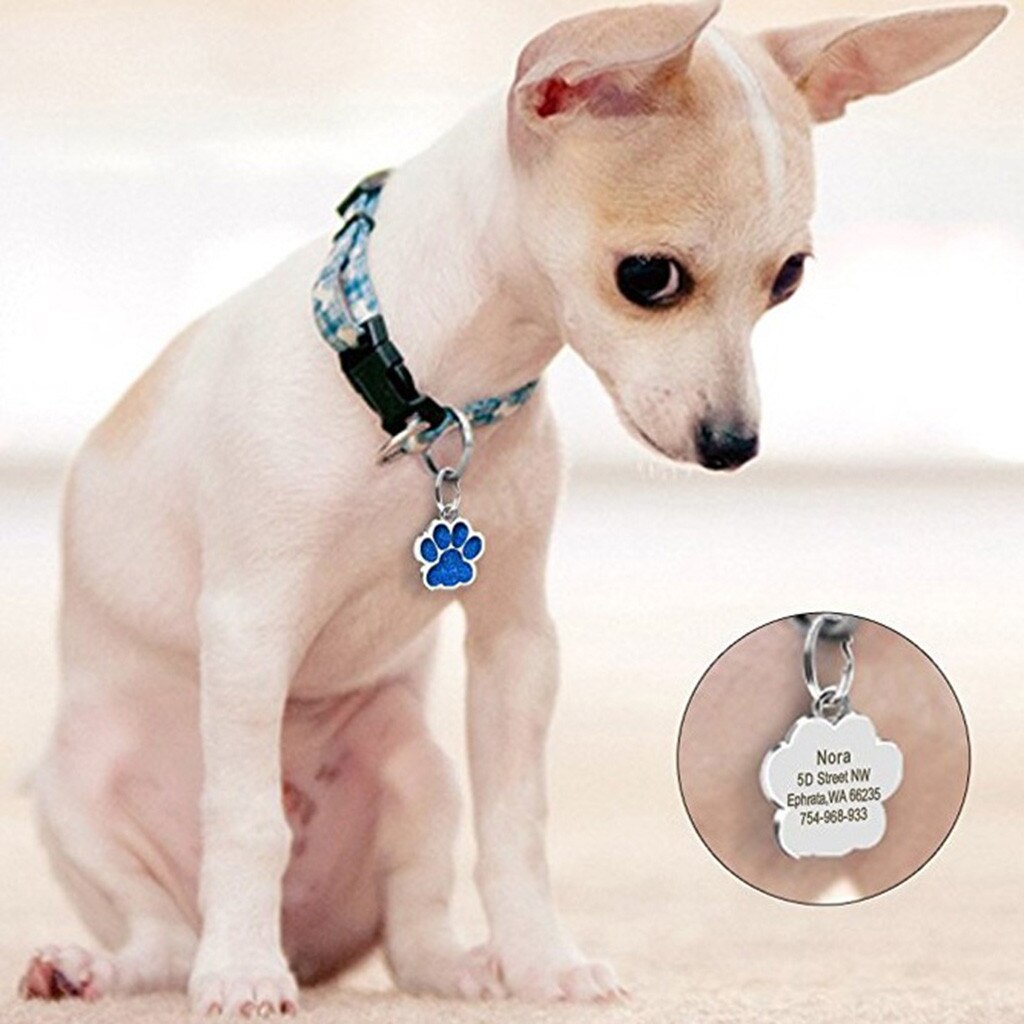 Mini étiquette d'identification patte de chien chat, bijoux pour animaux de compagnie, collier, fournitures pour animaux de compagnie, accessoires diamètre 27mm, sans lettrage,