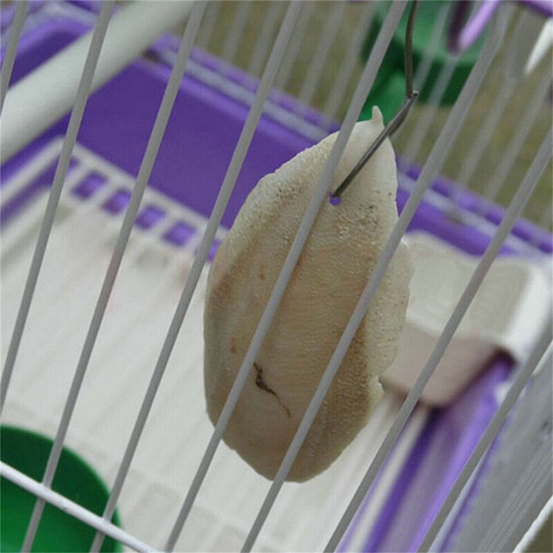 1 /2 Pcs Cuttle Fish Cuttlefish Bone For Pet Budgie Birds Reptiles Tortoise Food